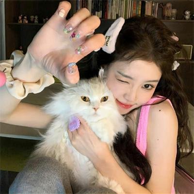 寒蝉鸣泣之时：猫杀篇